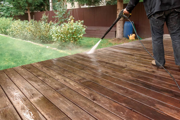 Best Fence Cleaning  in Donora, PA